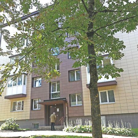 Siauliai Central Spot Apartment - Draugystes Pr. 外观 照片
